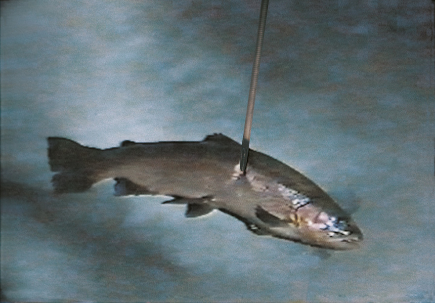 Κώστας Τσόκλης: Δεσμώτης της Τέχνης και του Μύθου του 