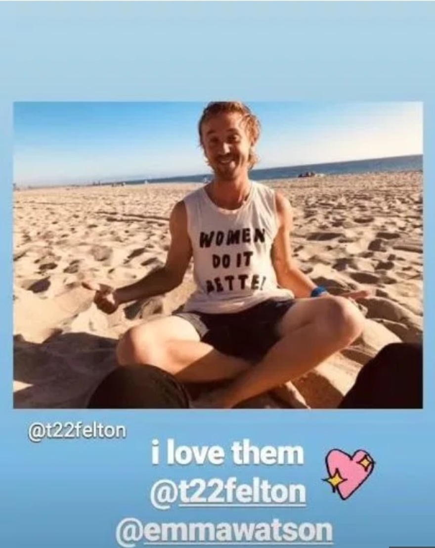 Ζευγάρι η Ερμιόνη και ο Ντράγκο από το Χάρι Πότερ;