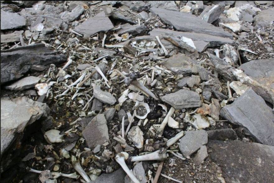 Βρήκαν «Έλληνες» στην Λίμνη των Σκελετών στα Ιμαλάια