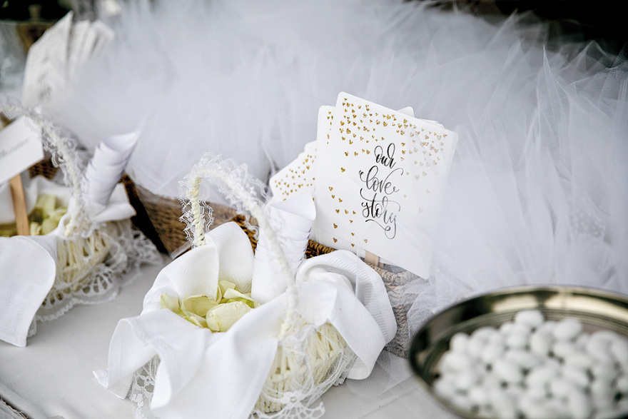 Ελενα Ράπτη - Κίμωνας Μπάλλας: Πώς έφτασαν στον μυστικό γάμο