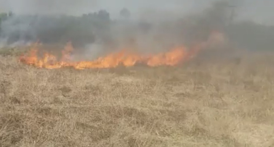 Κέρκυρα: Υπό έλεγχο η μεγάλη πυρκαγιά, που οδήγησε σε εκκένωση δύο χωριών