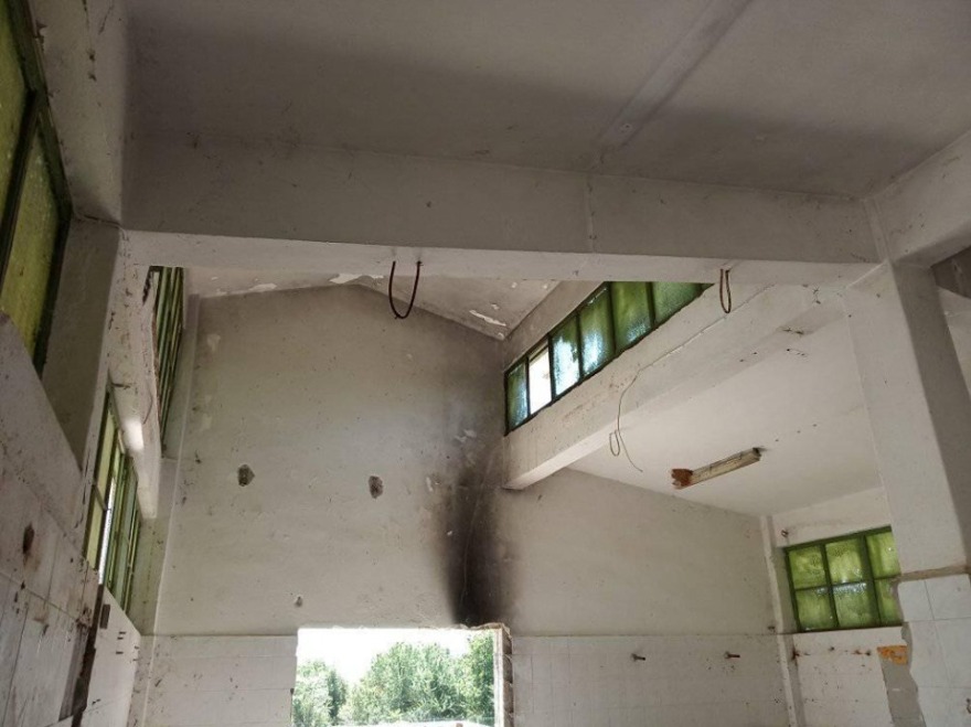 Καταγγελία σοκ από το Άργος Ορεστικό: «Ρίχνουν αδέσποτα σκυλιά στον Γράμμο για να τα φάνε οι λύκοι»