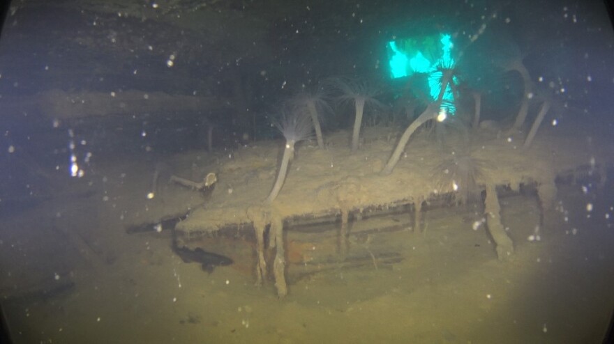 HMS Terror: Συγκλονιστικές εικόνες από το ναυάγιο της κακότυχης αποστολής του 1845 στην Αρκτική