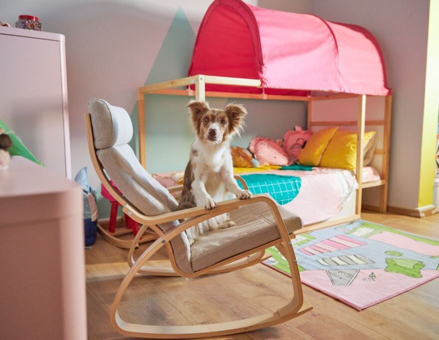 H συγκινητική διαφήμιση για την ιστορία αγάπης δύο αξιολάτρευτων σκύλων 