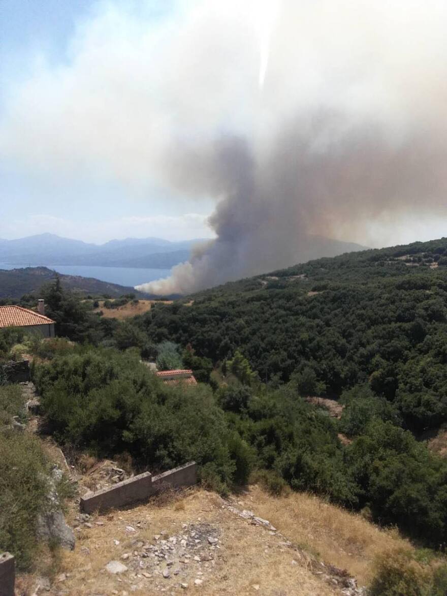 Οριοθετήθηκε η φωτιά στο Ευπάλιο Φωκίδας