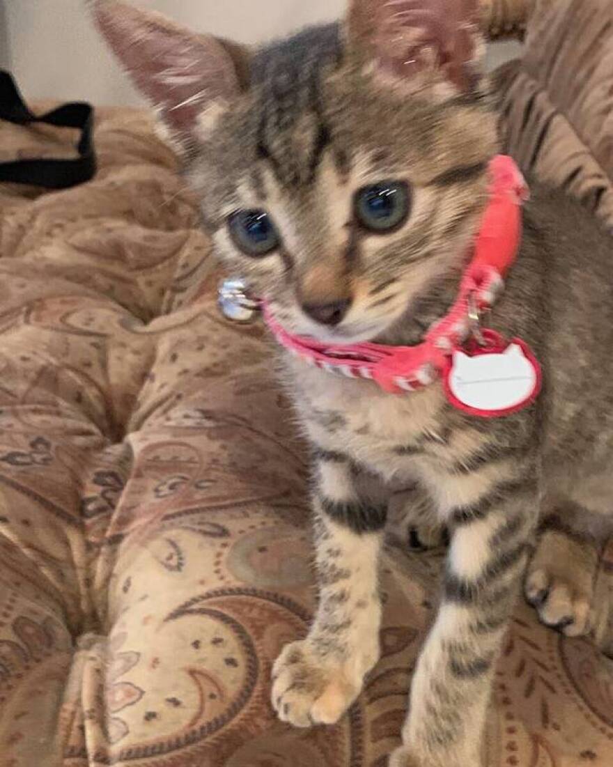 Έλλη Στάη: Η υιοθεσία και η ανάρτηση στο Instagram