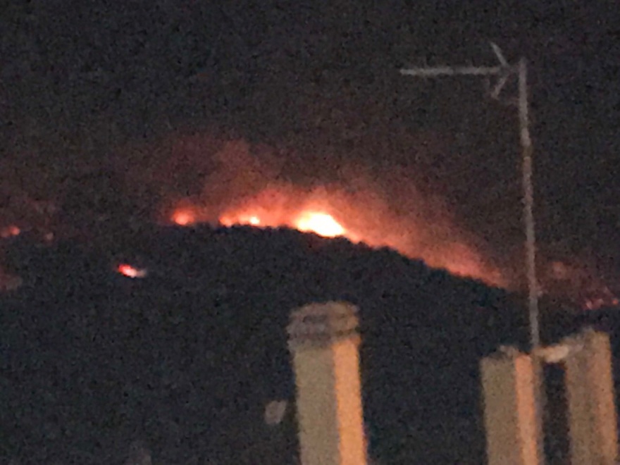 Φωτιά στη Νέα Μάκρη: Σε ύφεση το μέτωπο - Υπόνοιες για εμπρησμό