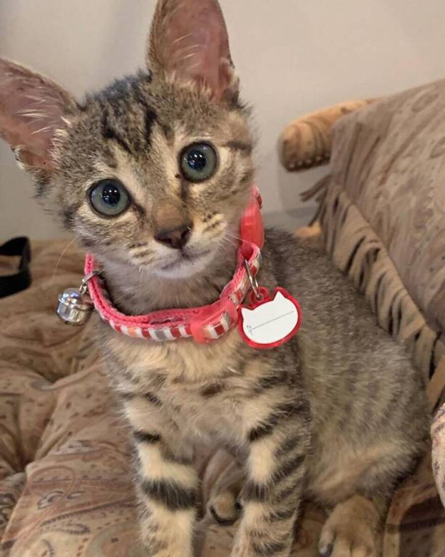 Έλλη Στάη: Η υιοθεσία και η ανάρτηση στο Instagram