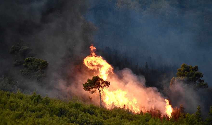 Φωτιά στη Νέα Μάκρη: Σε ύφεση το μέτωπο - Υπόνοιες για εμπρησμό