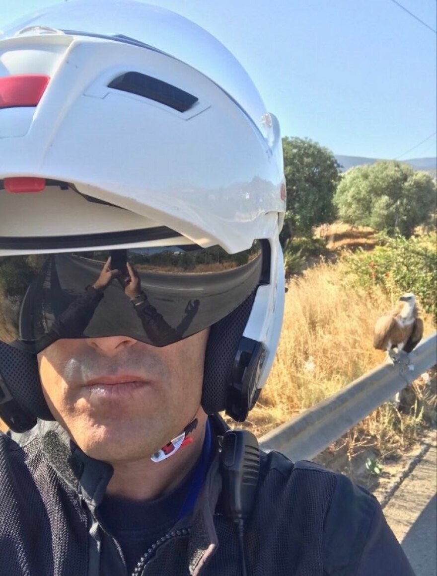 Κρήτη: Γυπαετός... παραβάτης «συνελήφθη» από την Τροχαία