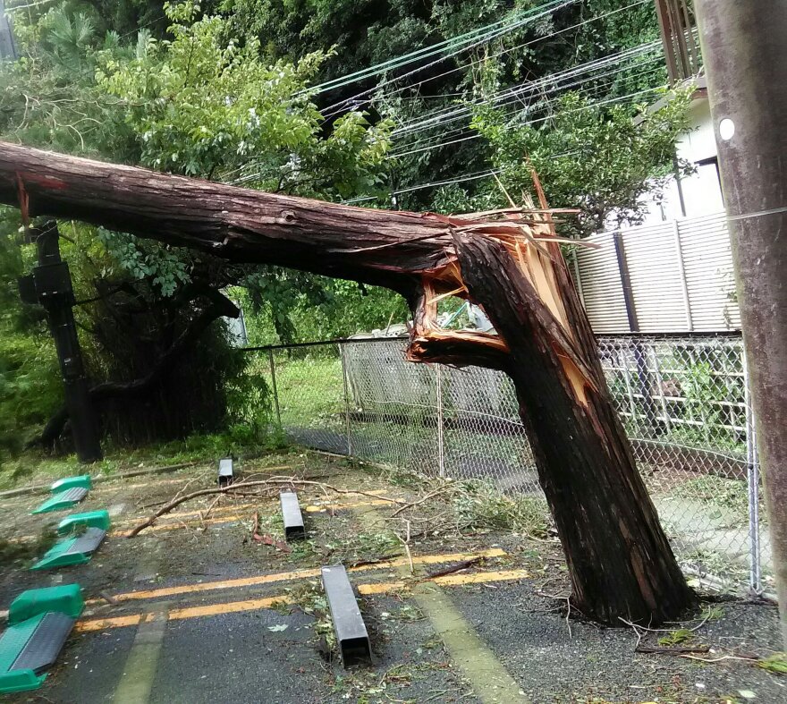 Ιαπωνία: Μία νεκρή από τον τυφώνα Faxai 