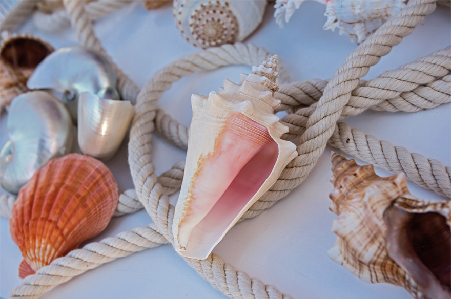 Κλέλια Χατζηιωάννου - Λουκάς jr: Παραμυθένια βάπτιση στον πύργο 