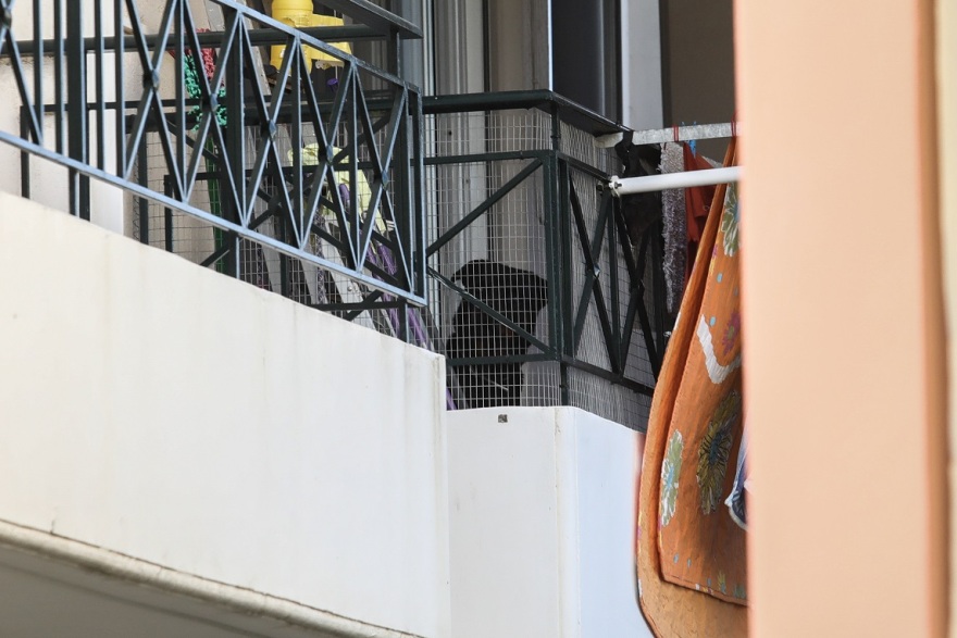 Τραγωδία στα Γλυκά Νερά: «Βγήκα και είδα το ροτβάιλερ να έχει στο στόμα του το μωρό»!