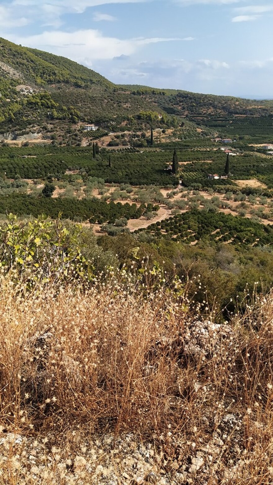 Βίντεο: Τροχαίο για το μοντέλο Ναστάζια Μητροπούλου 