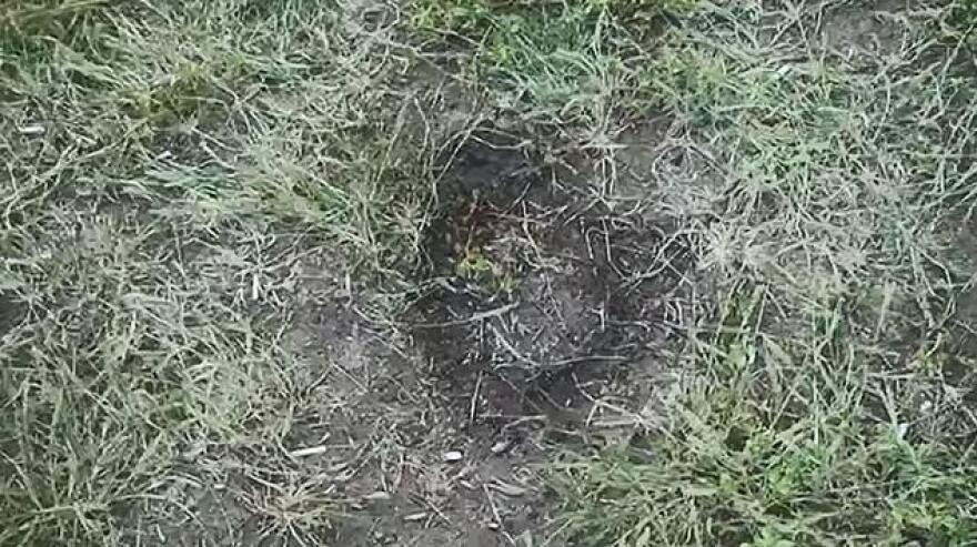 Ουκρανία: 8χρονος αυτοκτόνησε επειδή τον χτυπούσαν οι γονείς του