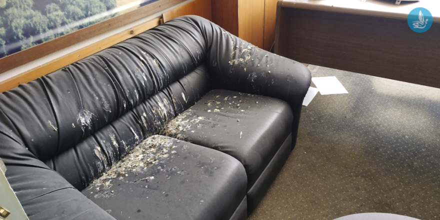 Ρόδος: Εικόνες ντροπής στο πρώην δημαρχείο Ιαλυσού - Βρωμιά και ακαθαρσίες σ' όλο τον χώρο