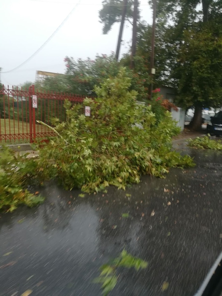 Κακοκαιρία: Δύο νεκροί από κεραυνούς - Καταστροφές σε Ηλεία, Μεσσηνία, Κεφαλονιά