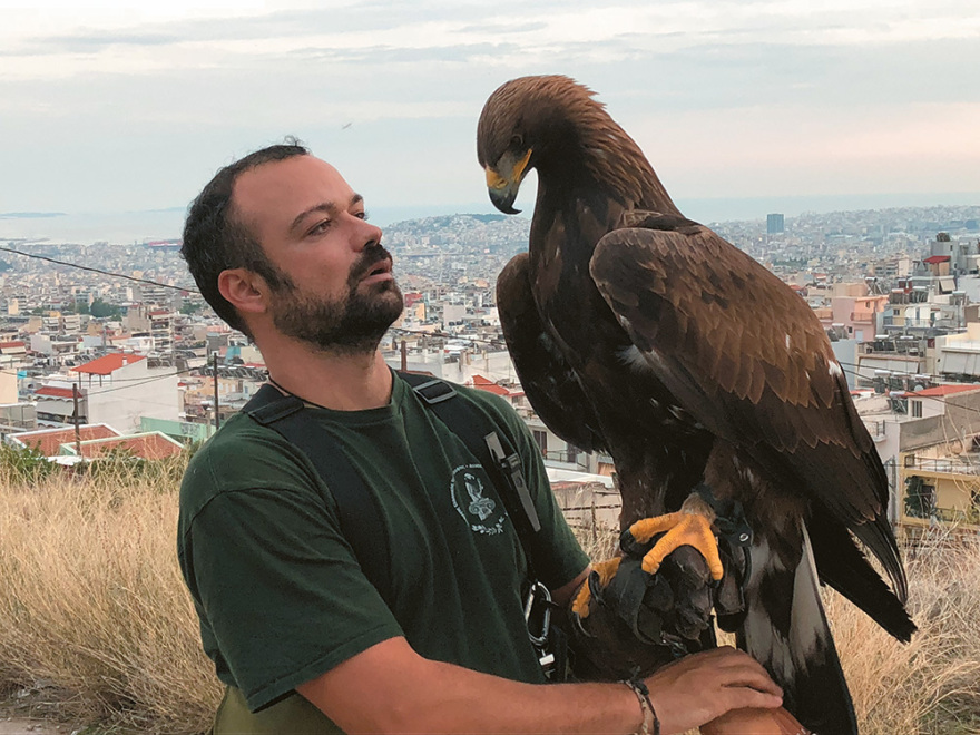 To γεράκι που «τρώει»  drones