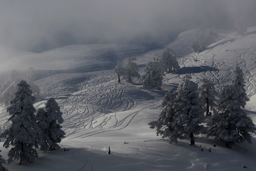Κόντρα ΝΔ - ΣΥΡΙΖΑ για τους μετανάστες στο Χιονοδρομικό Βασιλίτσας