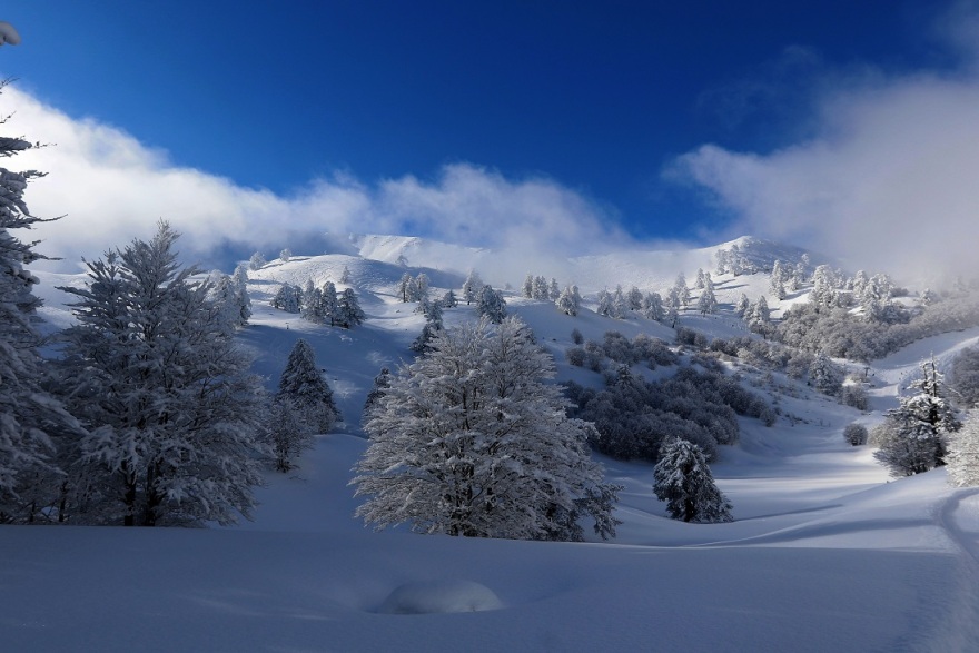 Κόντρα ΝΔ - ΣΥΡΙΖΑ για τους μετανάστες στο Χιονοδρομικό Βασιλίτσας