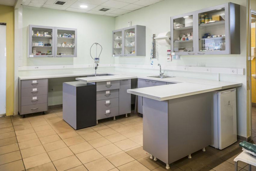 Αττικό Νοσοκομείο Ζώων: υψηλό επιστημονικό επίπεδο - ιατρικό κύρος - όραμα