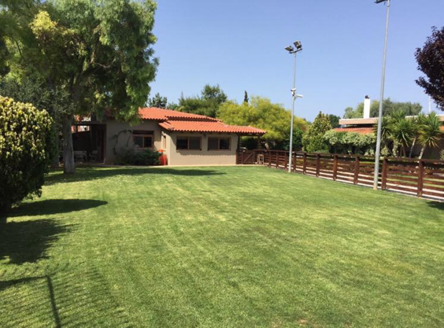 Επάγγελμα ... Εκπαιδευτής Σκύλων !