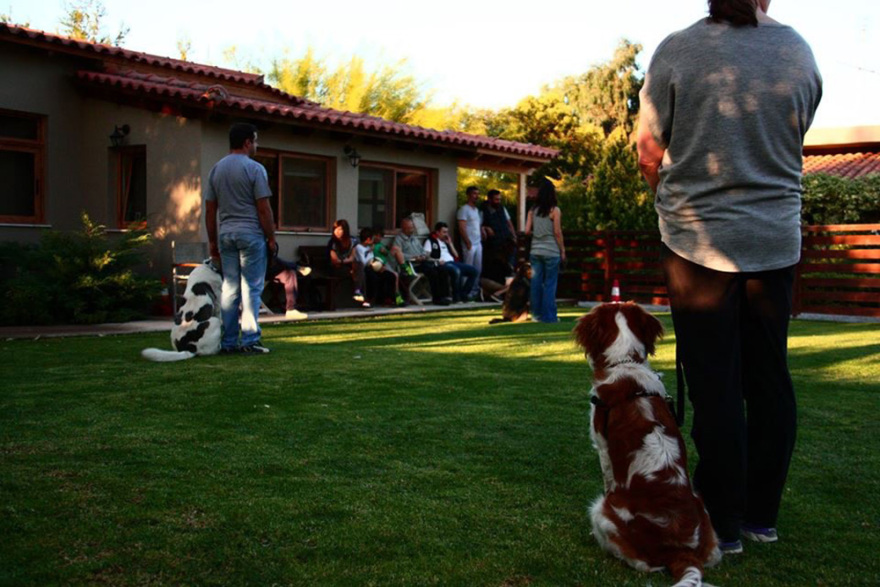 Επάγγελμα ... Εκπαιδευτής Σκύλων !