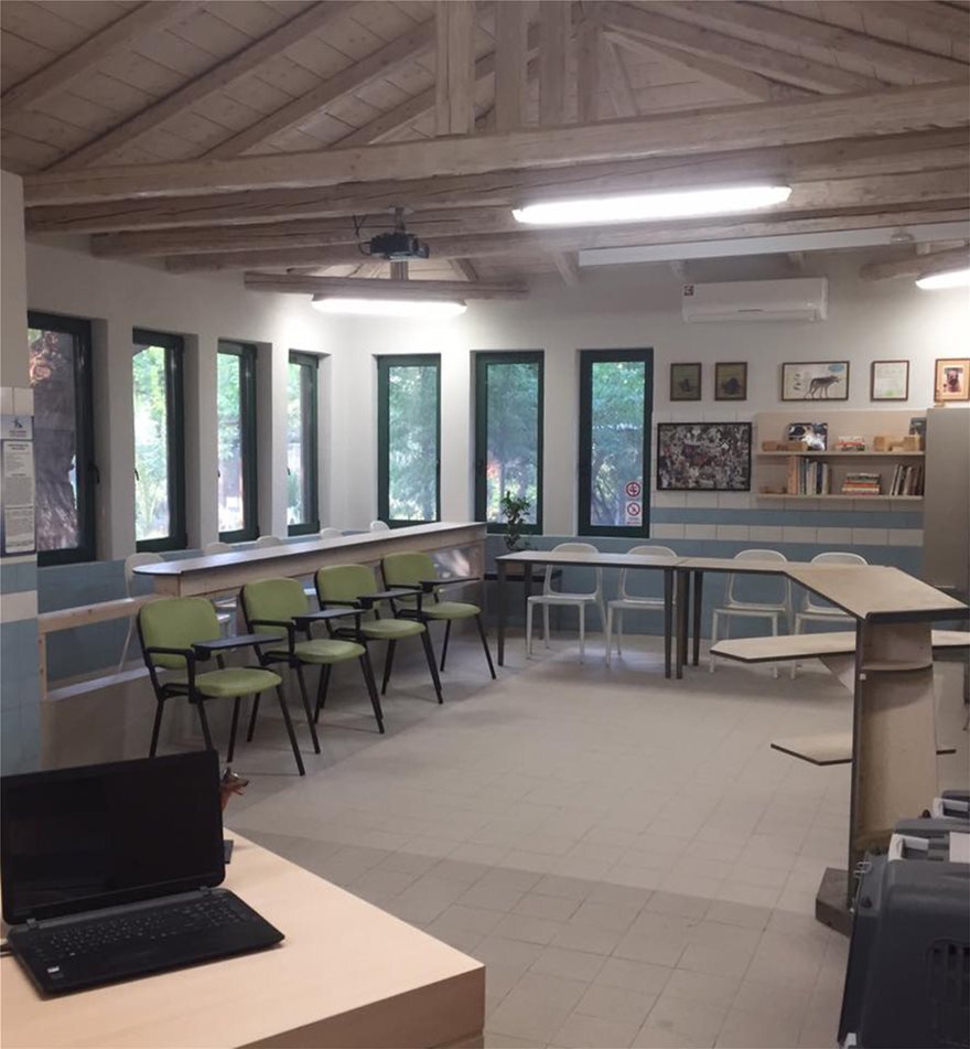 Επάγγελμα ... Εκπαιδευτής Σκύλων !