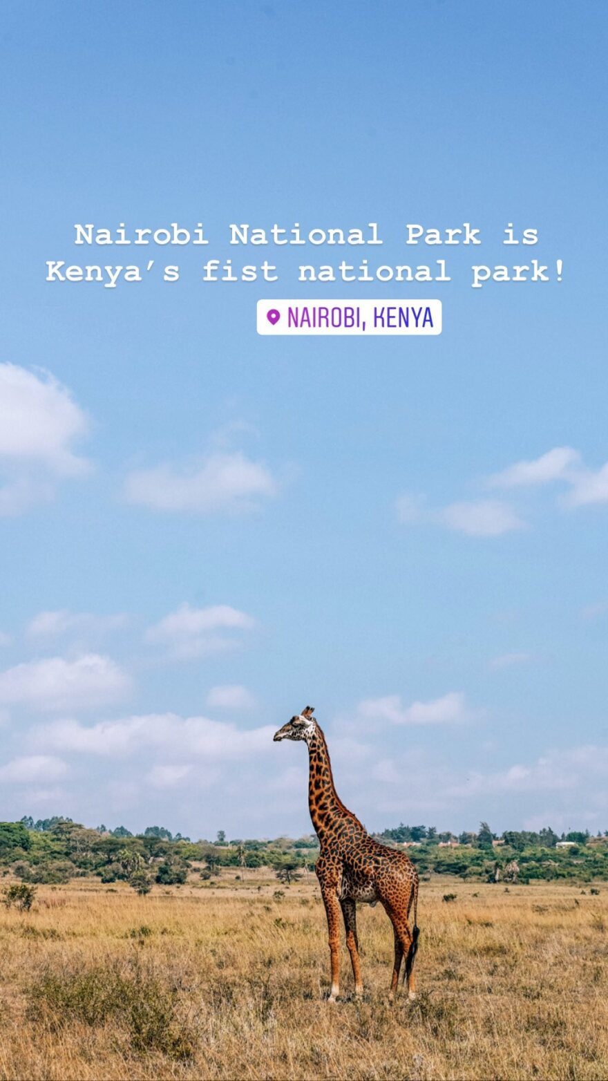 Χριστίνα Μπόμπα & Μαρίνα Βερνίκου: Οι κουμπάρες πήγαν Αφρική