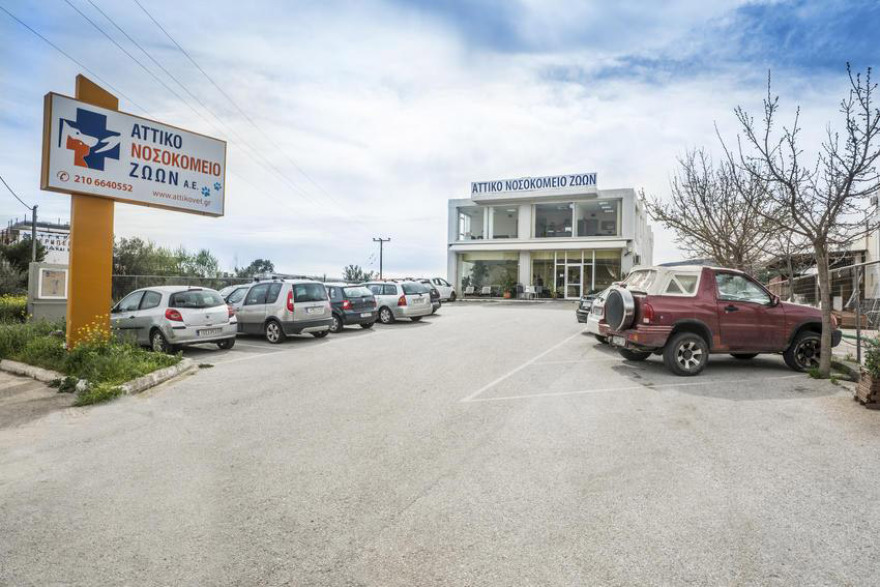 Αττικό Νοσοκομείο Ζώων: υψηλό επιστημονικό επίπεδο - ιατρικό κύρος - όραμα