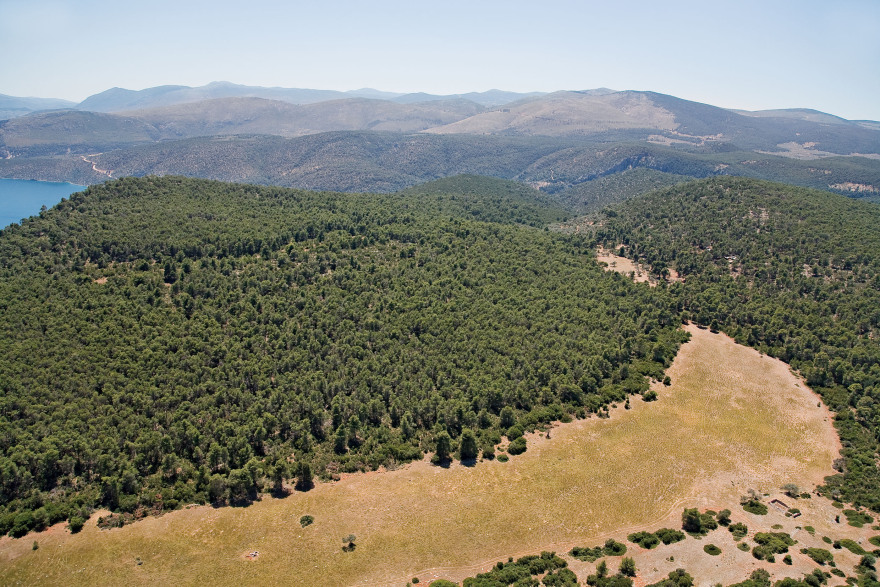 Σολυγεία, το καταπράσινο μαργαριτάρι του Σαρωνικού