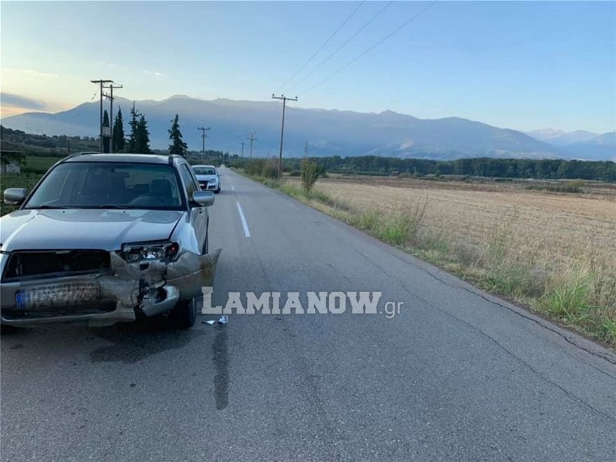 Έκρηξη στον πληθυσμό των αγριογούρουνων: Εφιάλτης με... επιδότηση