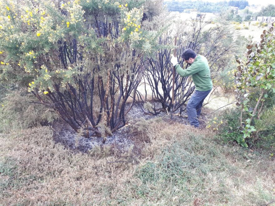 X-Files στη Χιλή: Μυστηριώδης πύρινη μπάλα που συνετρίβη στο έδαφος δεν είναι μετεωρίτης