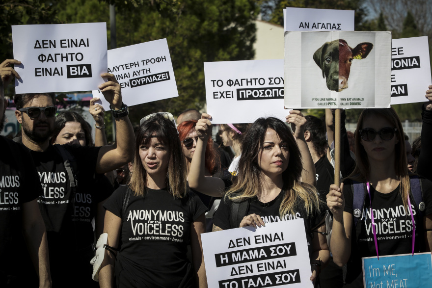 Παγκόσμια ημέρα των ζώων: Πορεία ενάντια στην κακοποίηση στο κέντρο της Αθήνας