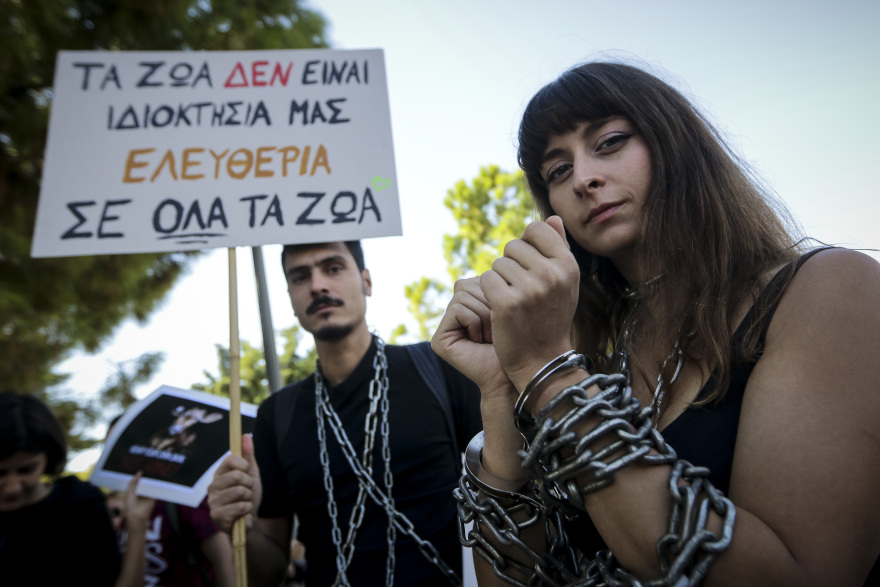 Παγκόσμια ημέρα των ζώων: Πορεία ενάντια στην κακοποίηση στο κέντρο της Αθήνας