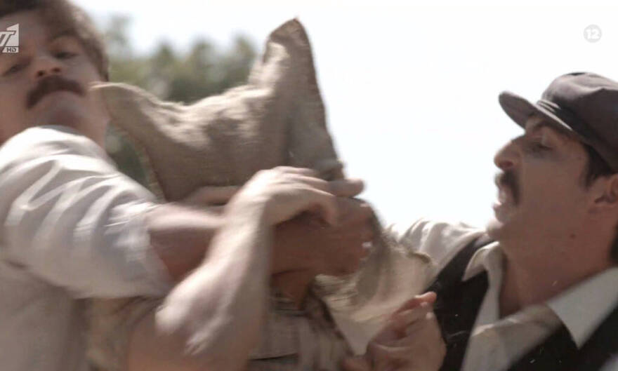 Άγριες Μέλισσες: Ήρθαν στη ζωή μας, τους είδαμε, τους αγαπήσαμε και τους... σκότωσαν