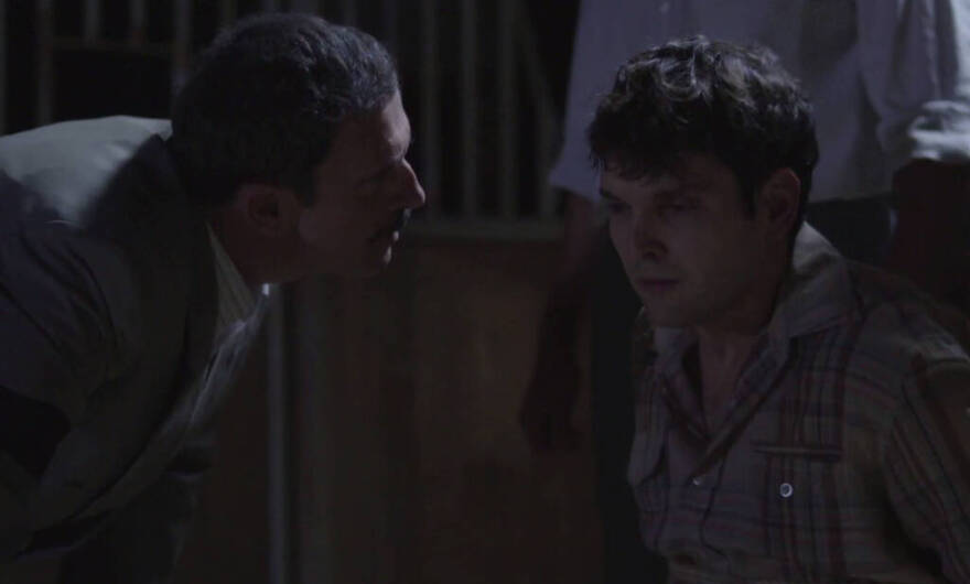 Άγριες Μέλισσες: Ήρθαν στη ζωή μας, τους είδαμε, τους αγαπήσαμε και τους... σκότωσαν