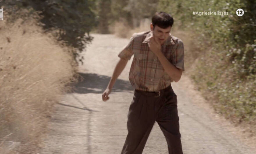 Άγριες Μέλισσες: Ήρθαν στη ζωή μας, τους είδαμε, τους αγαπήσαμε και τους... σκότωσαν