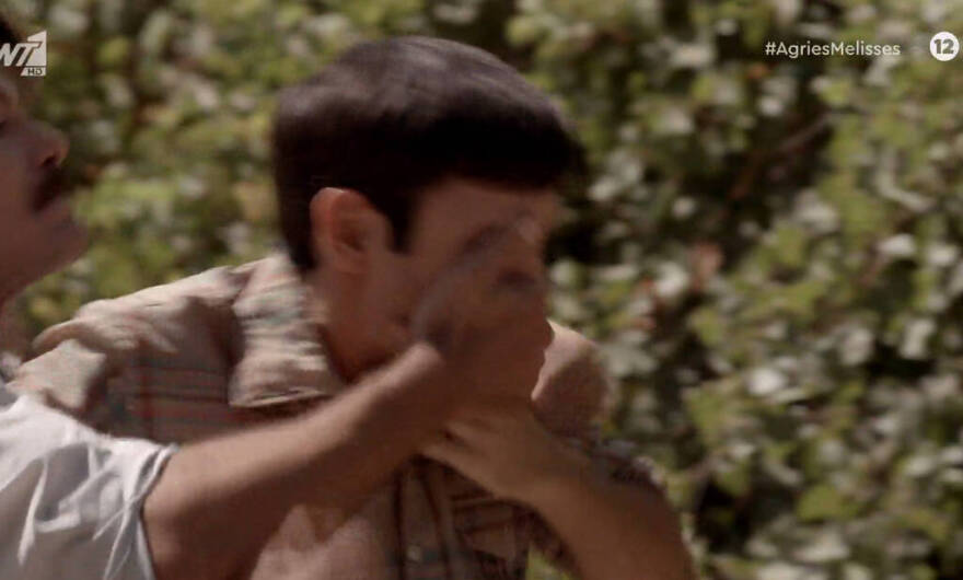 Άγριες Μέλισσες: Ήρθαν στη ζωή μας, τους είδαμε, τους αγαπήσαμε και τους... σκότωσαν