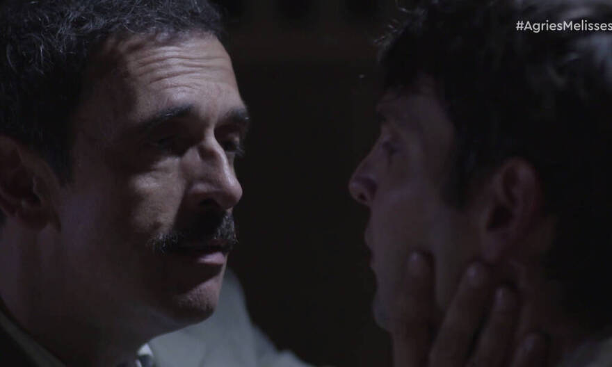 Άγριες Μέλισσες: Ήρθαν στη ζωή μας, τους είδαμε, τους αγαπήσαμε και τους... σκότωσαν