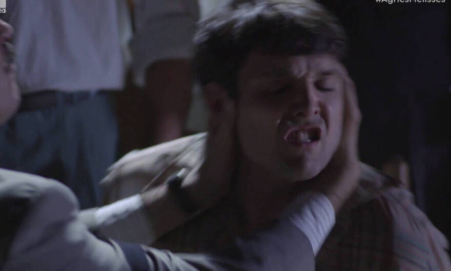 Άγριες Μέλισσες: Ήρθαν στη ζωή μας, τους είδαμε, τους αγαπήσαμε και τους... σκότωσαν