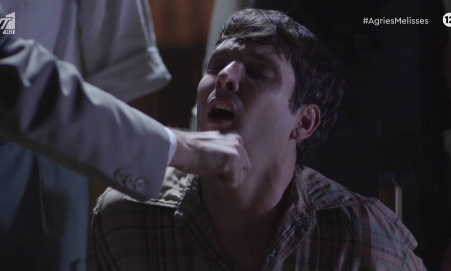 Άγριες Μέλισσες: Ήρθαν στη ζωή μας, τους είδαμε, τους αγαπήσαμε και τους... σκότωσαν