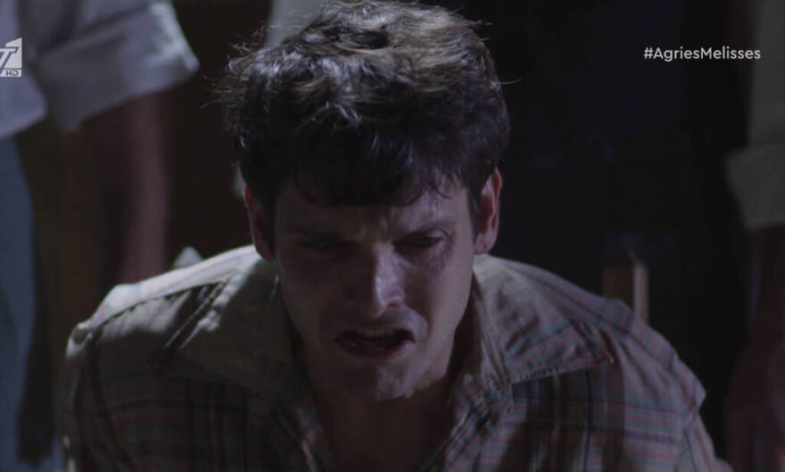 Άγριες Μέλισσες: Ήρθαν στη ζωή μας, τους είδαμε, τους αγαπήσαμε και τους... σκότωσαν