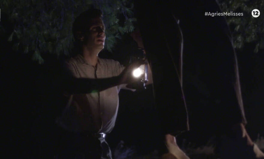 Άγριες Μέλισσες: Ήρθαν στη ζωή μας, τους είδαμε, τους αγαπήσαμε και τους... σκότωσαν