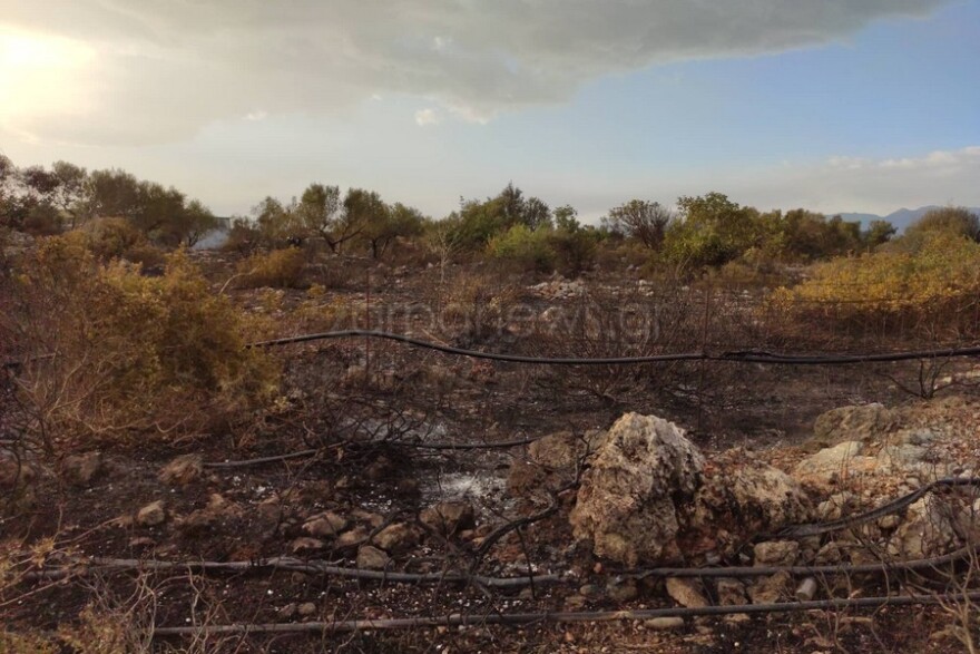 Χανιά: Φωτιά ξέσπασε στην περιοχή «Μουζουράς»	