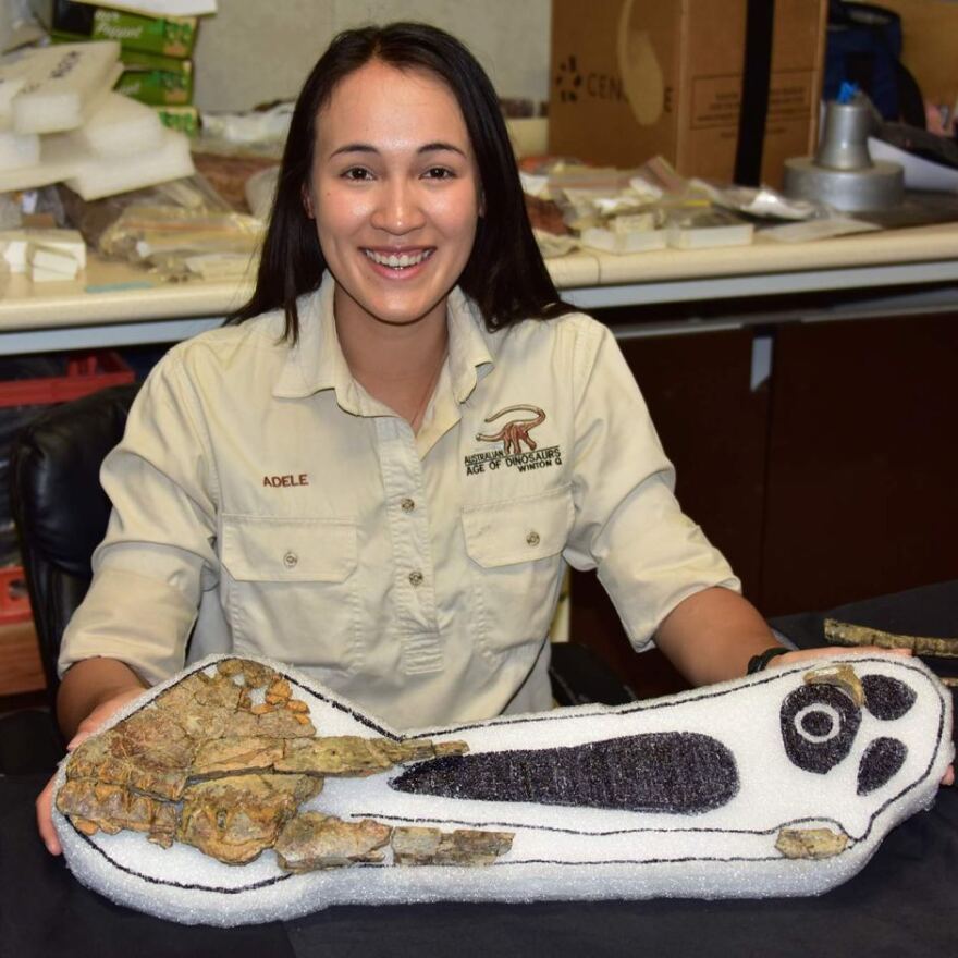 Αυστραλία: Ανακαλύφθηκε απολίθωμα πτερόσαυρου 96 εκατ. ετών