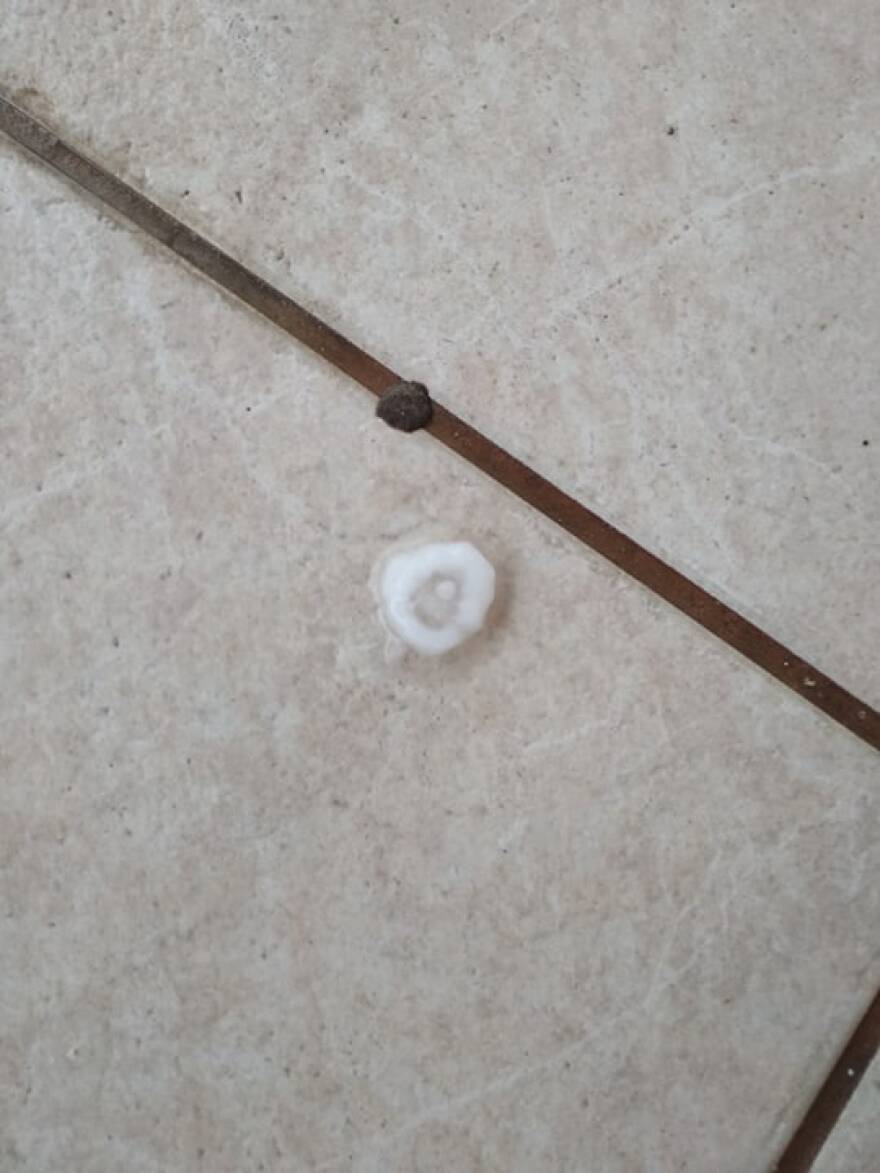 Καιρός: Σάρωσε την Αττική με χαλάζι το κύμα της κακοκαιρίας