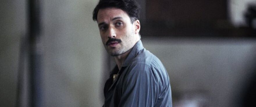 Άγριες Μέλισσες: Ήρθαν στη ζωή μας, τους είδαμε, τους αγαπήσαμε και τους... σκότωσαν