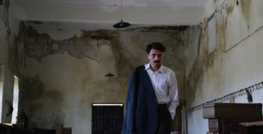 Άγριες Μέλισσες: Ήρθαν στη ζωή μας, τους είδαμε, τους αγαπήσαμε και τους... σκότωσαν