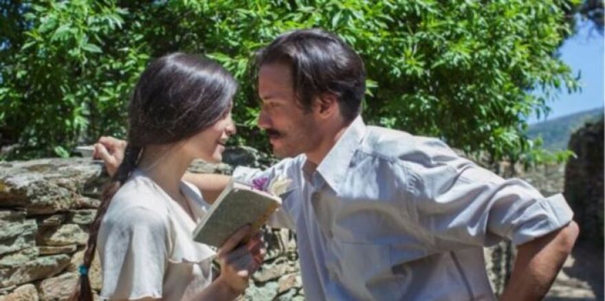 Άγριες Μέλισσες: Ήρθαν στη ζωή μας, τους είδαμε, τους αγαπήσαμε και τους... σκότωσαν